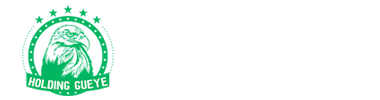 logo-Holding-GUEYE
