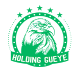 Holding Gueye